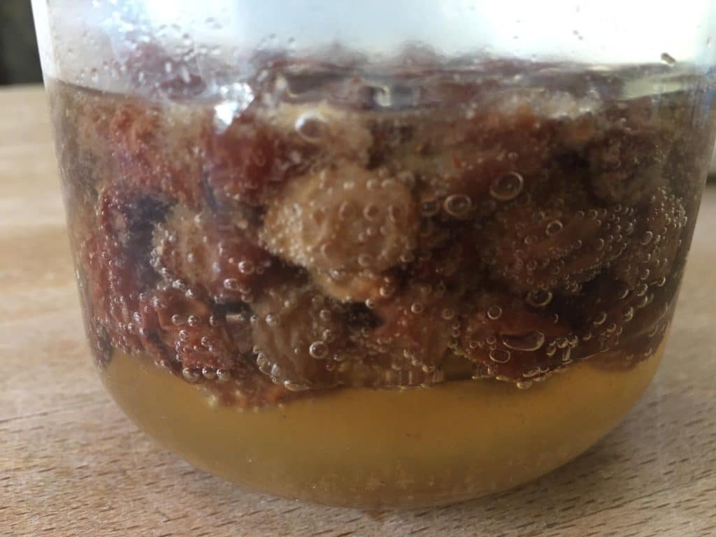Fermented raisins